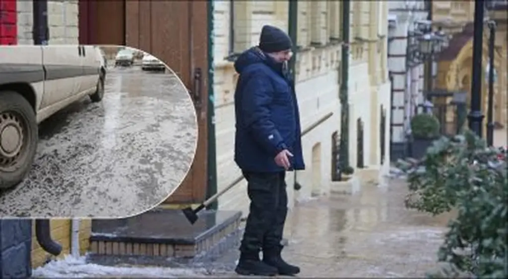 3 métodos con los que el hielo de tu patio desaparecerá sin dañar tus plantas ni tu bolsillo