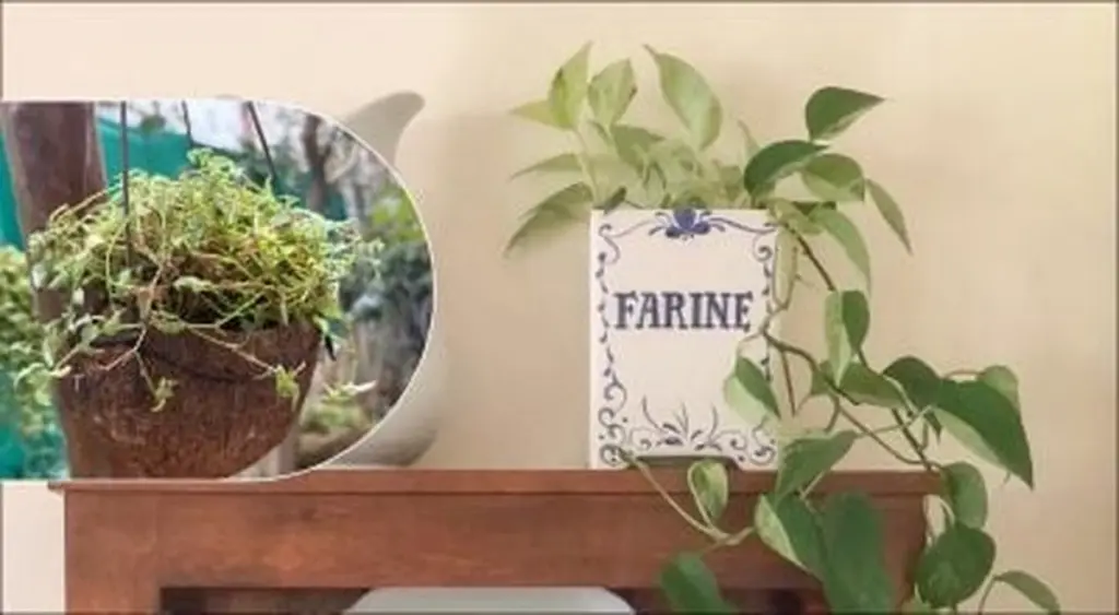 5 objetos cotidianos que se transforman en macetas sorprendentes