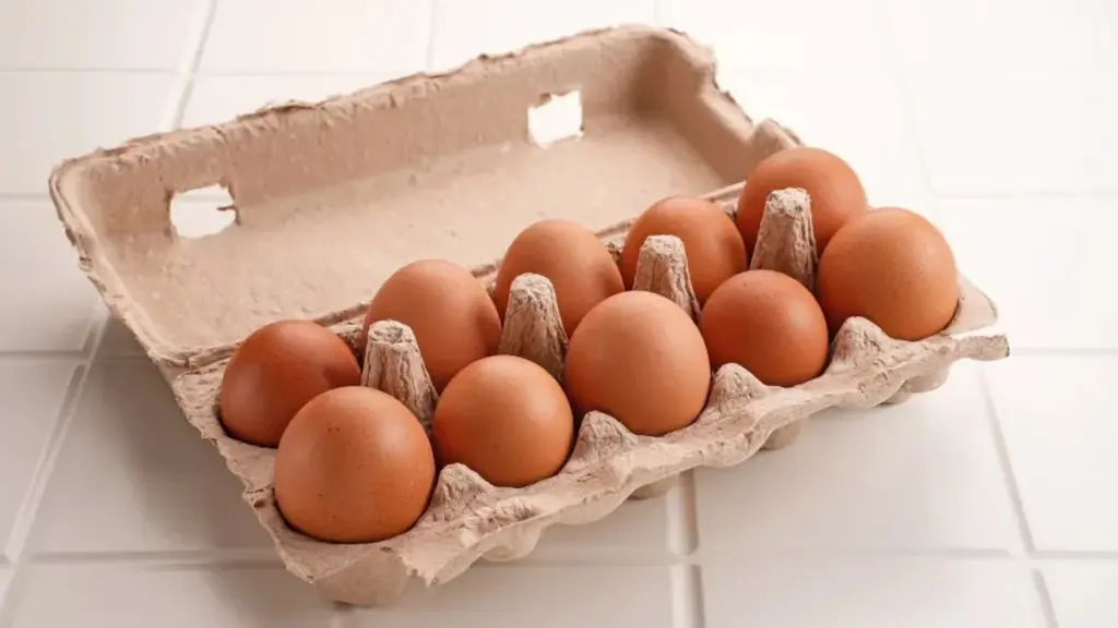 9 usos insospechados para tus cajas de cartón de huevos: ¡no las tires!