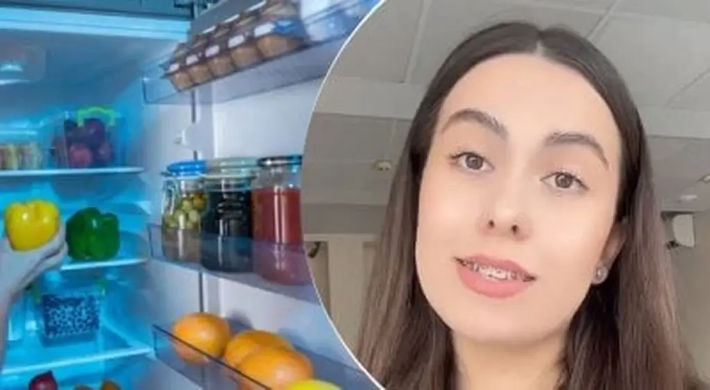 Cómo tu nevera mantiene el frío 2 veces más (sin luz)