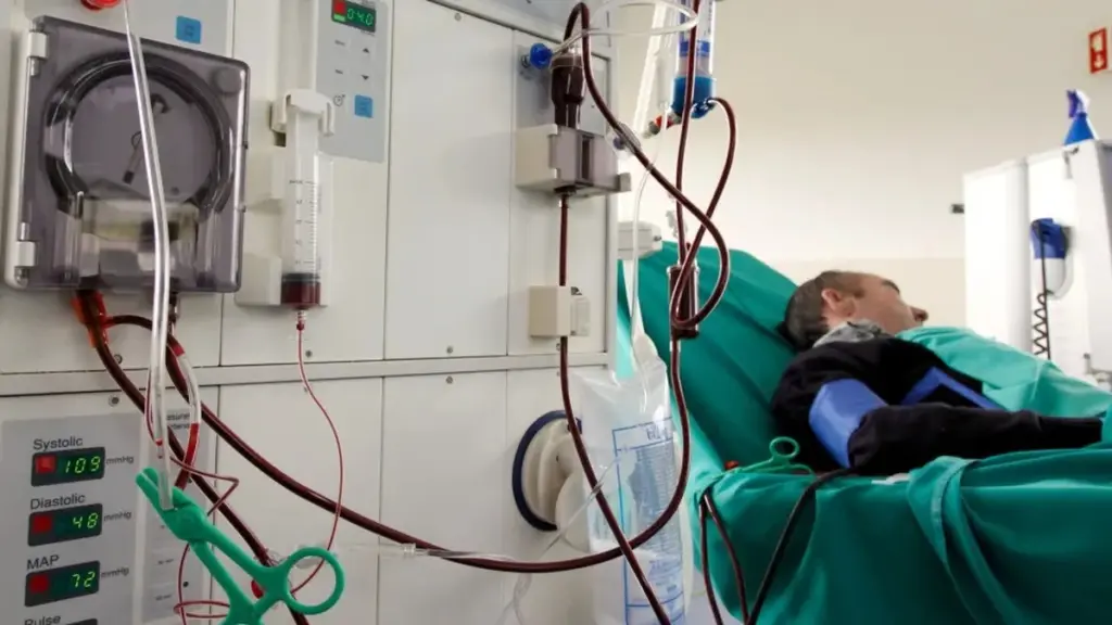 Dosis de hemodiálisis personalizadas: la clave para duplicar la supervivencia