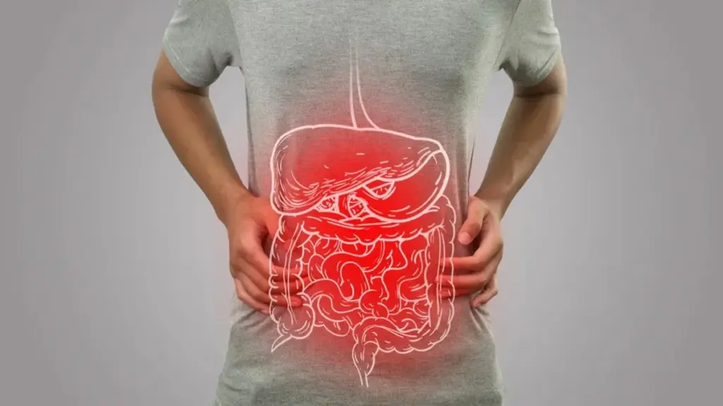 Nutricionista revela: 8 bebidas que perjudican tu salud intestinal