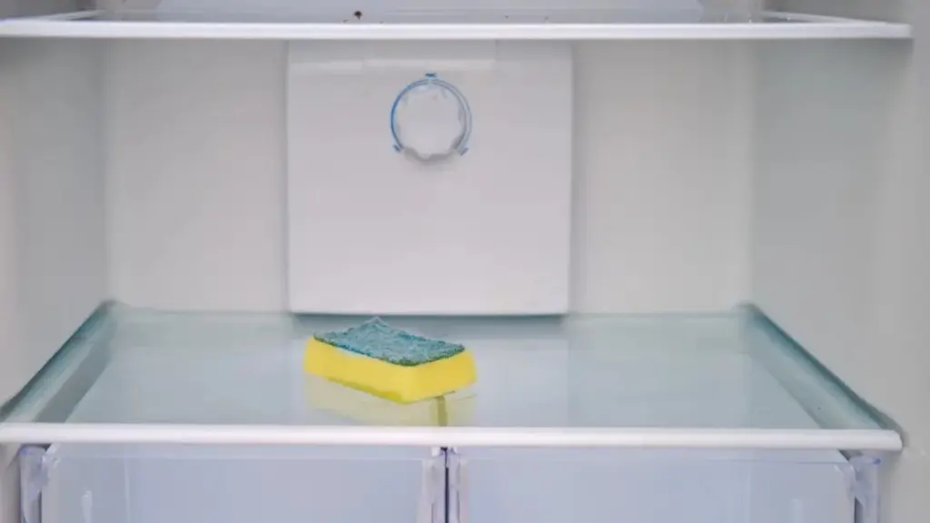 Una esponja en tu frigorífico: El insólito truco casero que alarga la vida de tus alimentos