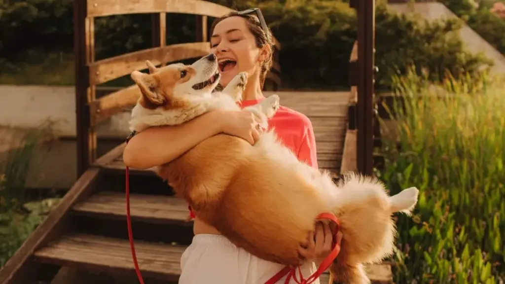 15 minutos con lo esencial para reducir tu estrés