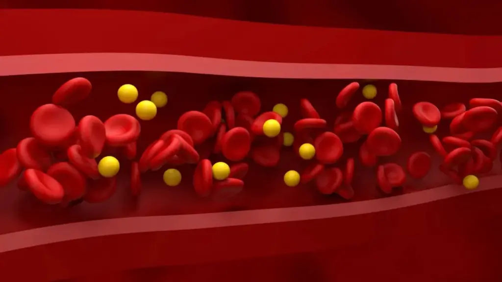 4 alimentos que disparan tu colesterol 'bueno' y blindan tu corazón