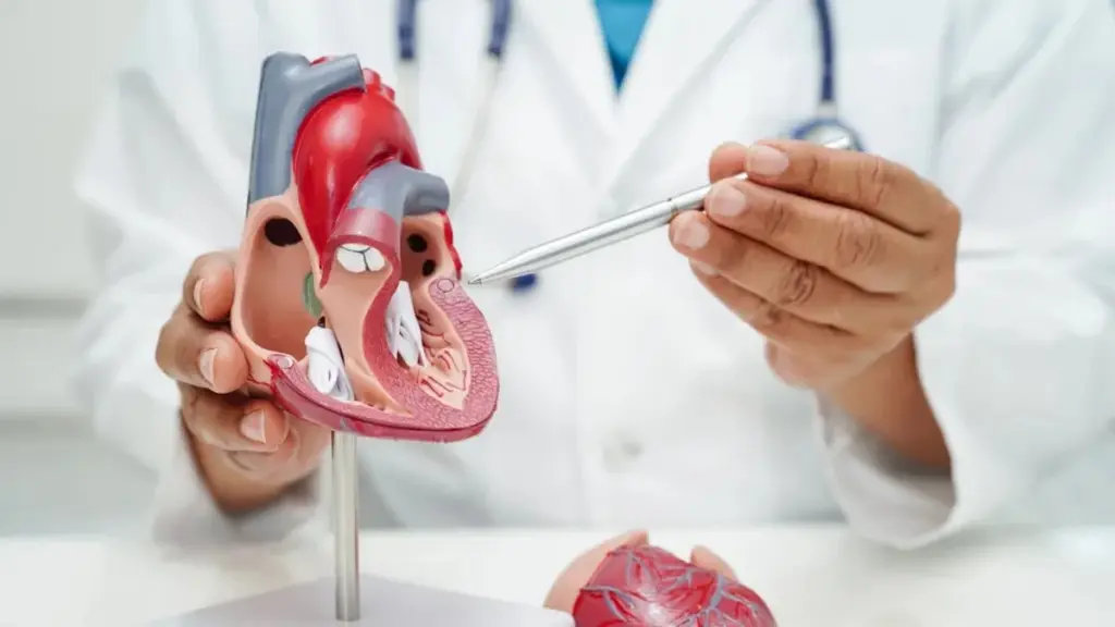 5 hábitos cardiovasculares recomendados por médicos que puedes empezar hoy mismo