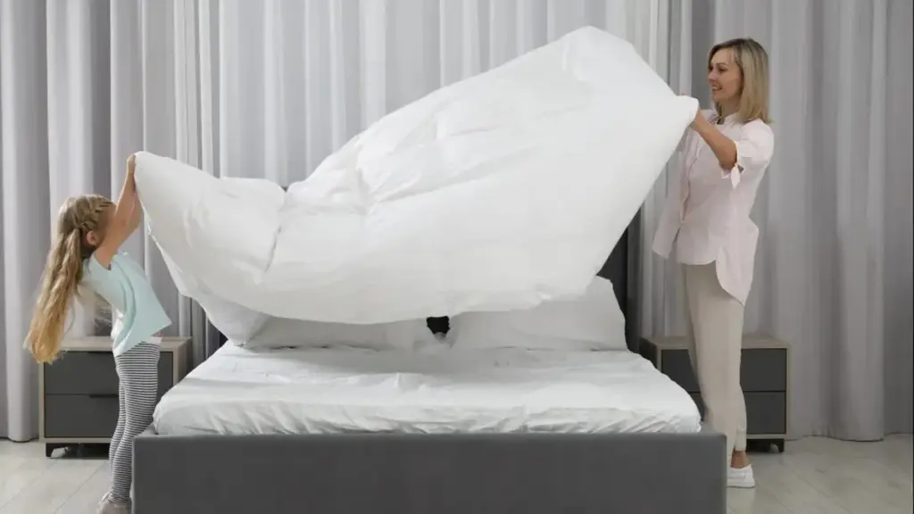 5 regras de Feng Shui que sua mãe já seguia (e você não sabia!)