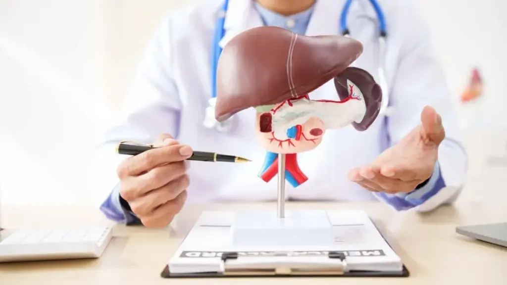 5 señales clave que tu hígado te envía y no deberías ignorar