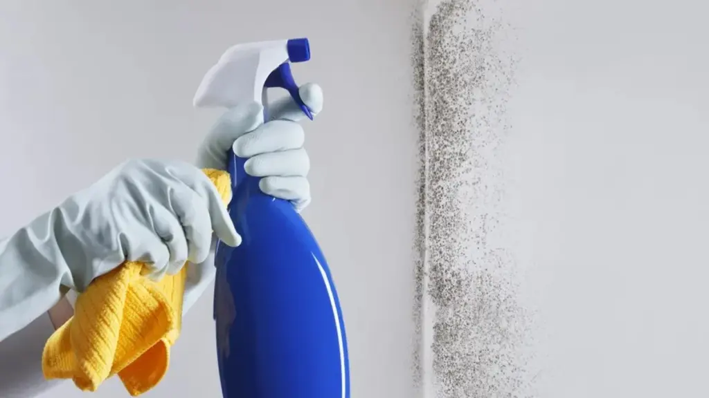 9 productos de supermercado y otros trucos para eliminar la humedad y el moho