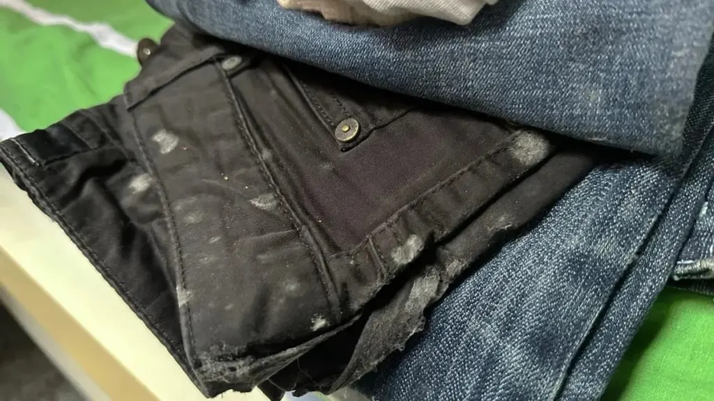 Adiós al moho en tu ropa: Trucos caseros que sí funcionan y cómo prevenirlo