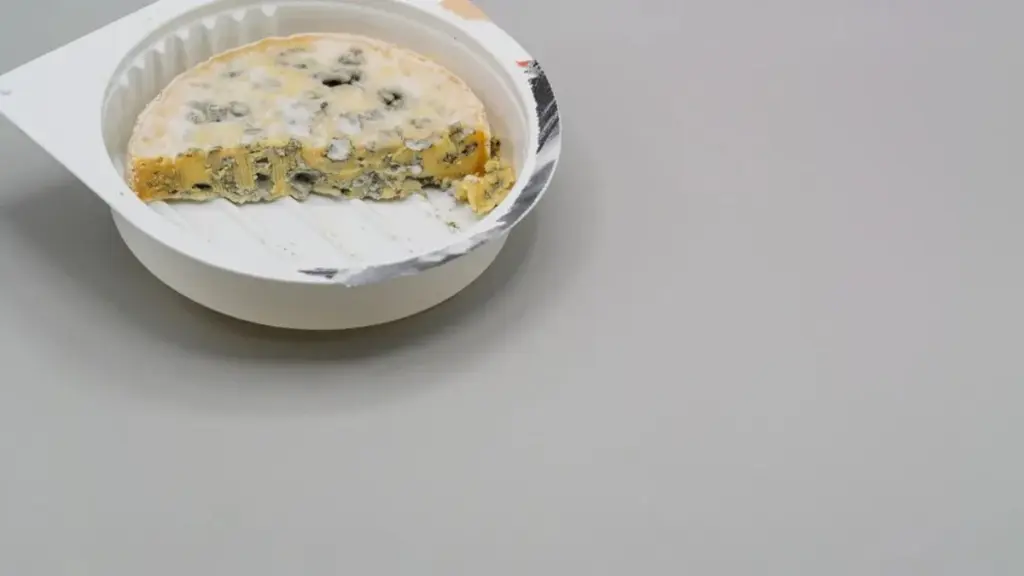 Adios al moho: Limpia tus tuppers como un experto