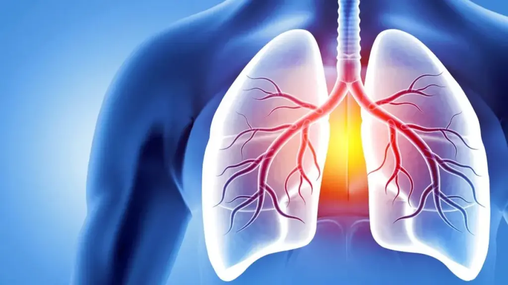 Descubren por qué algunas enfermedades respiratorias te roban el aliento: la clave está en una proteína