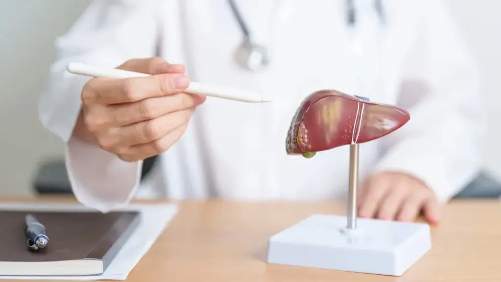 Despídete de la grasa en el hígado con estas infusiones y tés saludables