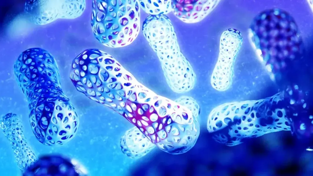 Dos ingredientes que tu cocina ya tiene para blindar tu sistema inmune