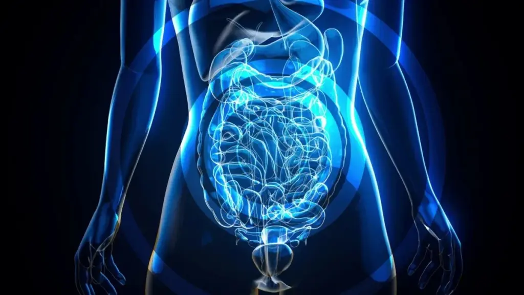 El microbioma intestinal, clave para el éxito de la inmunoterapia contra el cáncer, galardonado con el Premio Bial