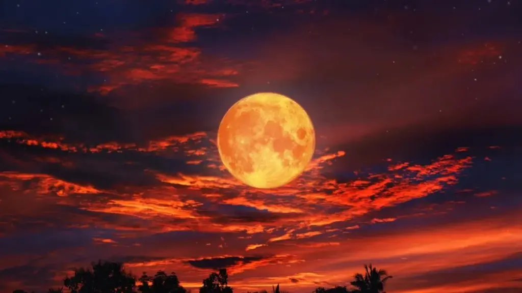 El peor día del año se acerca con una Luna de Sangre: el aviso de Márcia Sensitiva