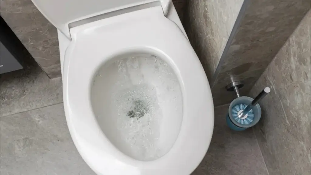 Evita problemas graves: 11 cosas que nunca debes tirar por el inodoro