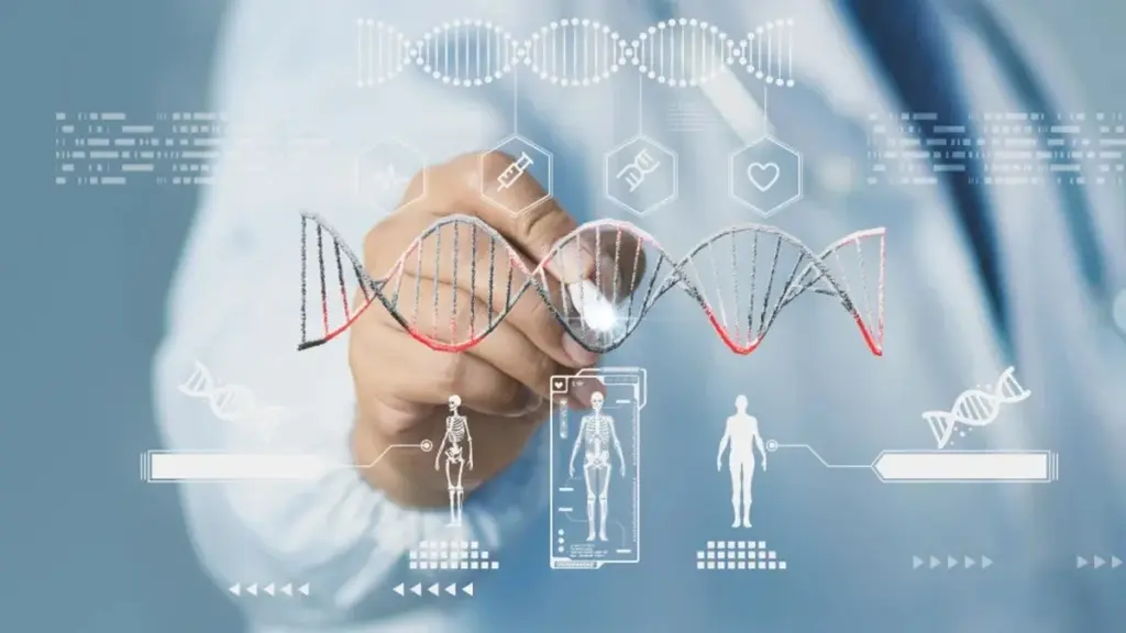 ¿Hubo relaciones entre neandertales y Homo sapiens? Nuevos detalles revelados