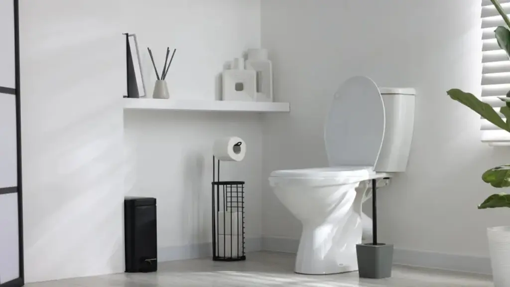 La esquina oculta de tu inodoro que está plagada de gérmenes (y la olvidas limpiar)