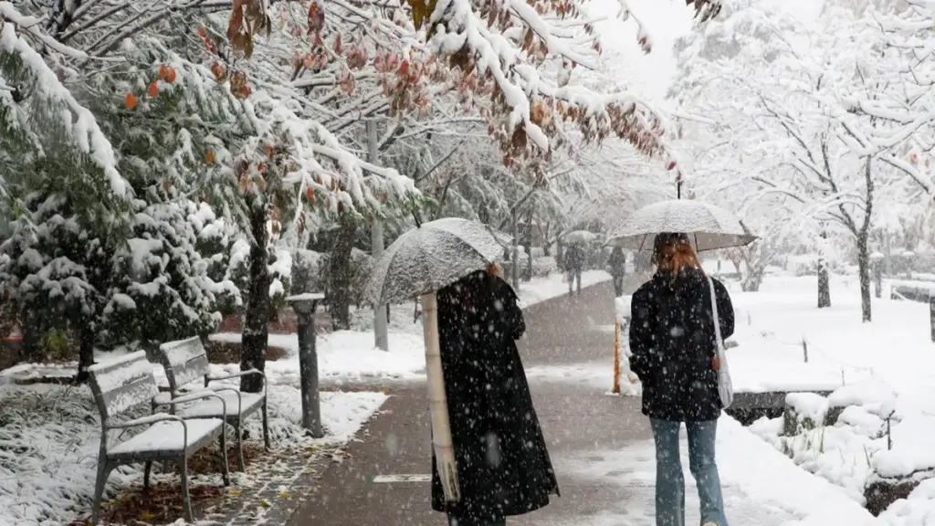 La nieve no es blanca: la ciencia explica por qué la vemos así