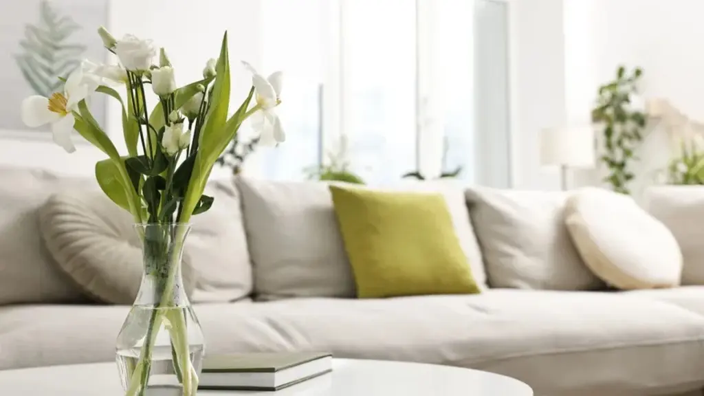 5 Elementos Clave del Feng Shui para una Energía Armónica en tu Hogar