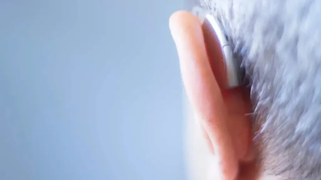 Cómo el cerebro sordo "ve" el mundo: el sorprendente secreto de la reorganización cerebral