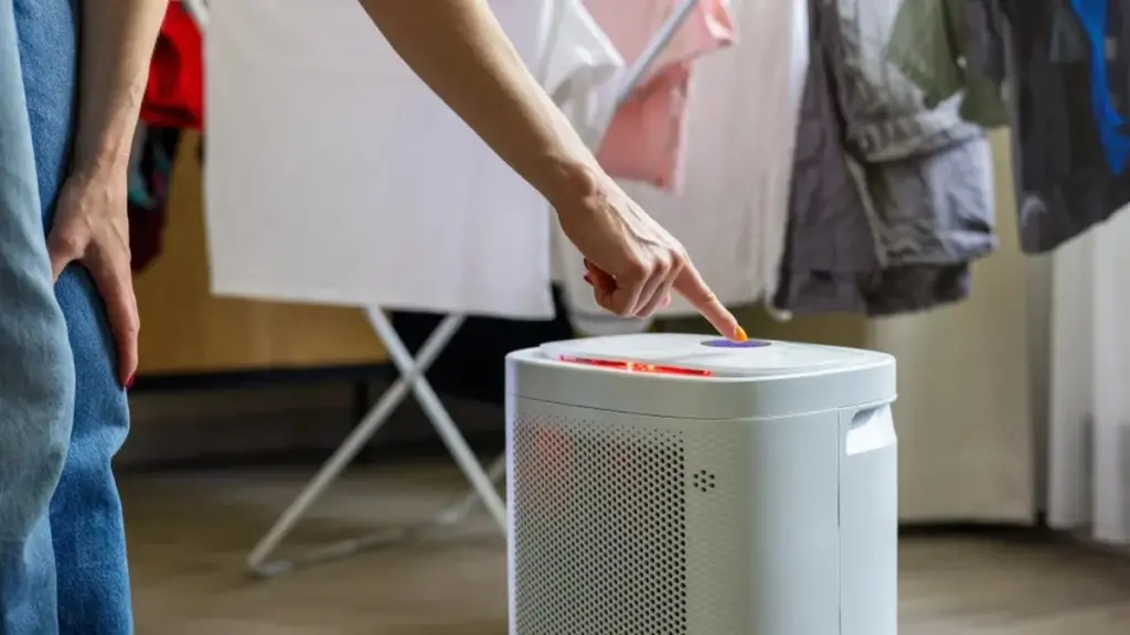 ¿Día o noche? La hora clave para encender tu deshumidificador (y ahorrar)