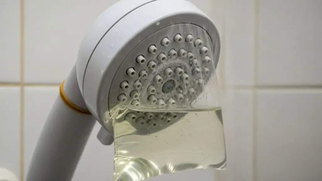 La bolsa en la ducha: el sencillo truco que revoluciona tu baño