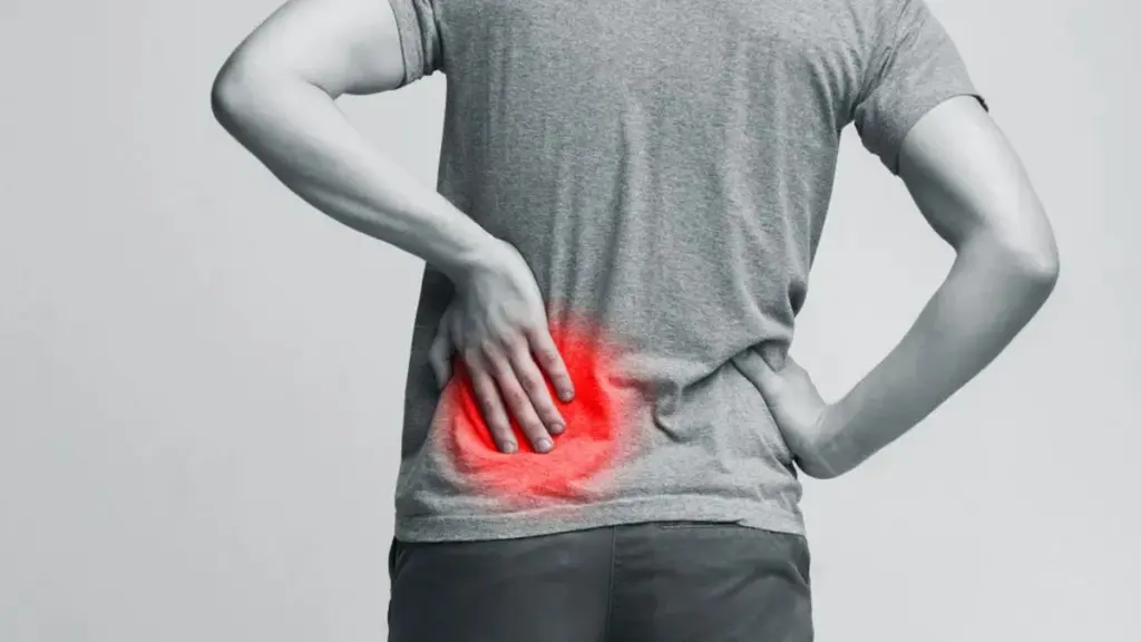 Los riñones: una 'epidemia silenciosa' que afecta a más de 1 millón de españoles