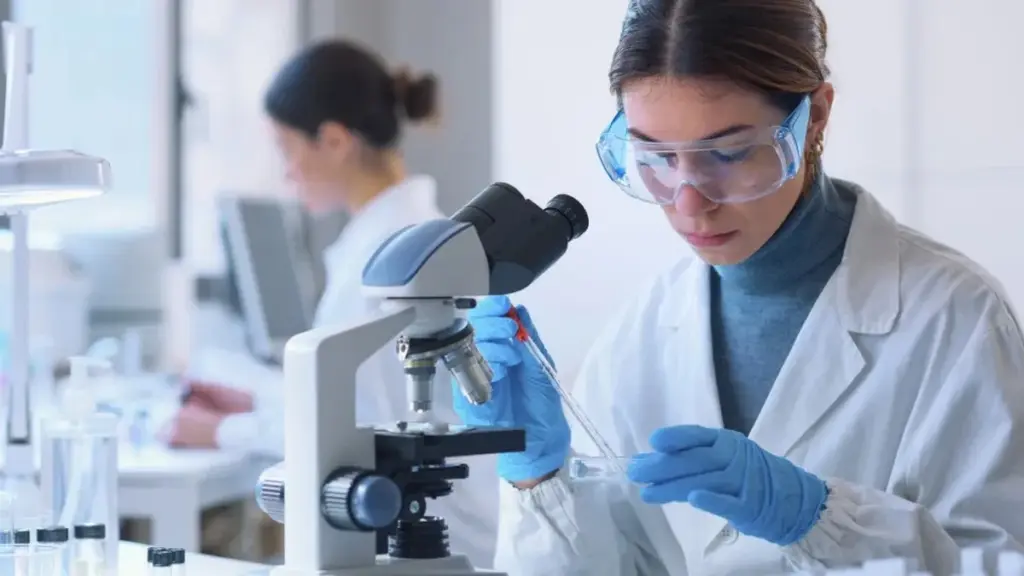 Redescubriendo el Cáncer: Cómo las Células "Asesinas" Renacidas Podrían Cambiarlo Todo