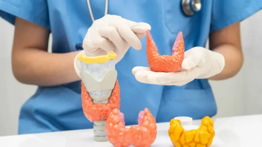 Seis hábitos cotidianos que están dañando tu tiroides sin que lo sepas